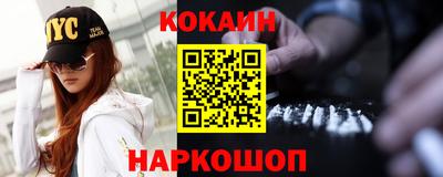 молекула духа Кингисепп