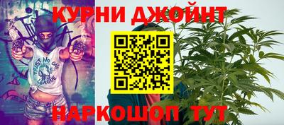 молекула духа Кингисепп