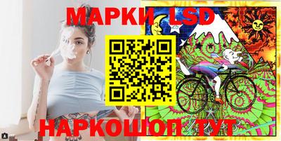 молекула духа Кингисепп