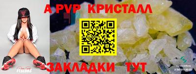 молекула духа Кингисепп