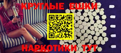 молекула духа Кингисепп