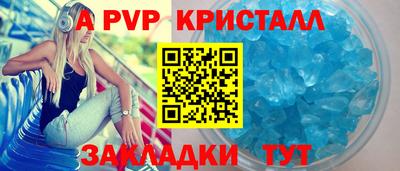 молекула духа Кингисепп