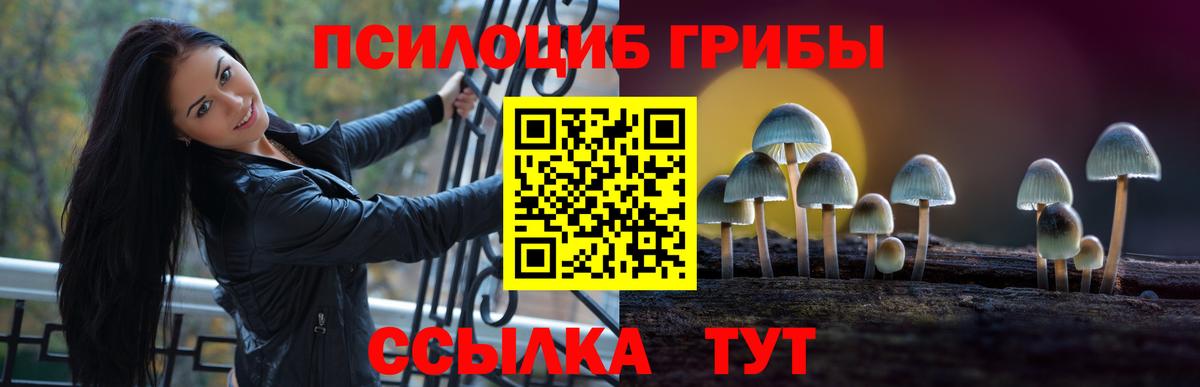 Псилоцибиновые грибы GOLDEN TEACHER Лянтор